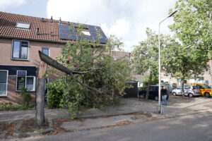 KNMI geeft code oranje af: zware storm op komst