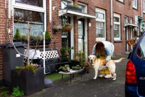 ‘Te groen’ kunstgraskleedje in Olofsbuurt moest weg omdat het ‘op tuin lijkt’