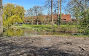 Verontwaardiging bij Hart voor Delft over werkzaamheden Wilhelminapark: ‘Tachtig jaar oude bomen plotseling gekapt’